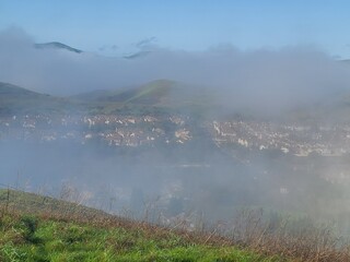 Wall Mural - A foggy winter morning in the San Ramon valley, California