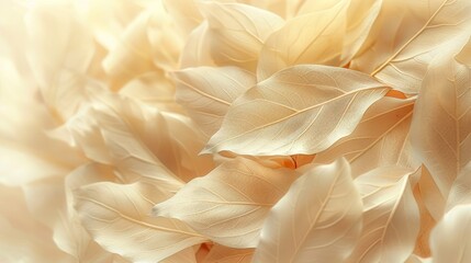 Wall Mural - Soft, warm-toned close-up of delicate leaf texture, conveying a sense of tranquility and natural elegance