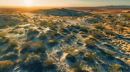 Poster - Desert landscape with sand dunes sparse