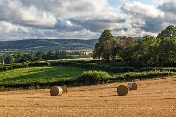 Wall Mural - An idyllic rural Sussex view over farmland, on a summer's evening