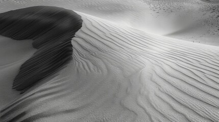 Wall Mural - the soft grains of sand shift and swirl creating unique formations that are constantly changing with