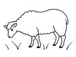 © Bendix - A fluffy sheep grazing in a field in line art style