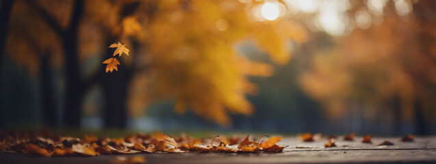 Wall Mural - Blurred fall nature background featuring bokeh, bright center, and delicate vignette border.
