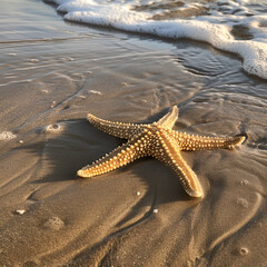 Sticker - starfish on the beach