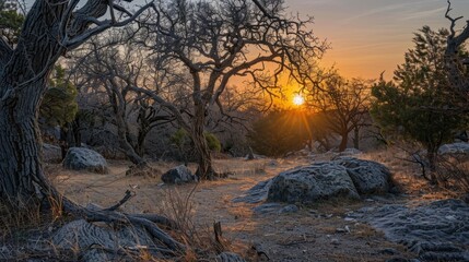 Wall Mural - a vibrant orange sunset casts a warm glow on the stonelike trees creating a surreal scene.