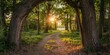 © stockpro - A serene forest landscape with a dirt path winding through trees at sunset, creating a natural arch with sun rays filtering through the foliage.