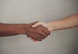© peopleimages.com - Handshake, diversity and people on studio background, unity and agreement for solidarity, support and partnership. Deal, teamwork and collaboration for inclusion, introduction and negotiation mock up