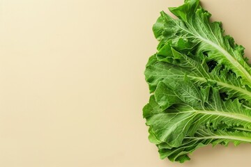 Wall Mural - Fresh Green Cabbage Leaves on Beige Background