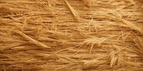 Wall Mural - straw texture of a pile of hay