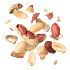 Poster - Peanuts and crushed pods in air on white background