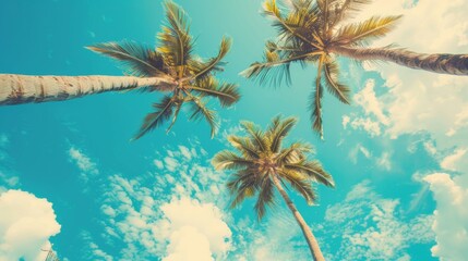 Wall Mural - vintage tropical palm trees on blue sky background
