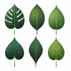 Wall Mural - four green leaves on a white background