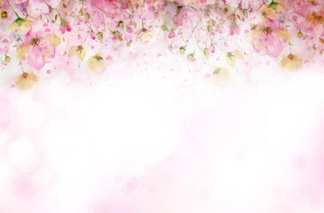Wall Mural - floral pink background. watercolor flowers. illustration.