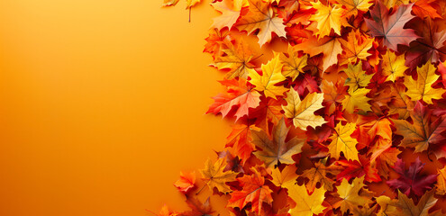 Wall Mural - Border of colorful autumn maple leaves on vibrant background with copy space.