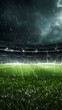 © Derby - Empty football field grass