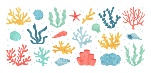 Seaweed and coral of set. Hand drawn aquarium plants, underwater ocean flora, seashell, algae, starfish. Vector marine plants and animals of the seabed. Flat cartoon illustration.
