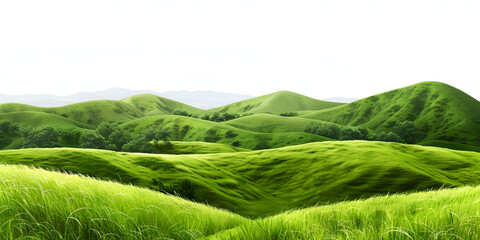 Wall Mural - digital rendering of a lush green valley with rolling hills and misty mountains in the background under a clear blue sky.