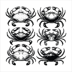 Wall Mural - set of crab illustration. hand drawn black and white crabs vector illustration isolated white background