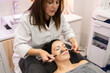 © javiindy - Beauty specialist applying cosmetics on female client in beauty salon
