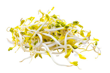 A pile of green and yellow sprouts on a white background