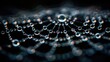 © WMSTUDIO - A macro photograph of water droplets on a spider web, creating a natural necklace of shimmering beads. The close-up view highlights the delicate beauty and geometric perfection of the web