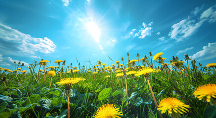 Wall Mural - Nature landscape with green meadows, blue sky with clouds and mountains in the background. classic green landscape, Generative AI