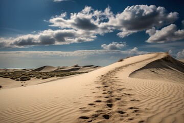 Wall Mural - Tranquil desert landscape with footprints trailing across sand dunes under a dramatic cloudy sky