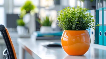 White office desk with white shelves and black chair, with an orange planter on the shelf holding small plants, books in blue covers and green spines neatly arranged.