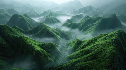 Aerial view of lush green mountain range covered in mist, creating a serene and mystical landscape. Perfect for nature and landscape photography.