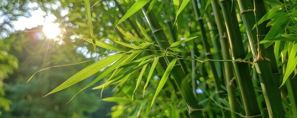 Poster - Close-up of vibrant green bamboo leaves with sunlight filtering through, creating a serene and nature-inspired atmosphere.