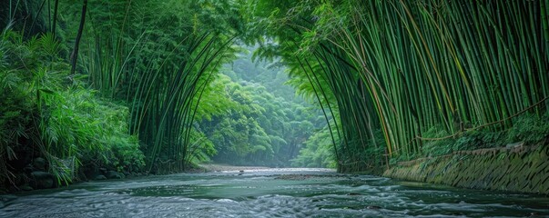 Wall Mural - Serene river winding through a lush bamboo forest with arching trees forming a natural canopy, conveying tranquility and peace.