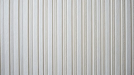 Canvas Print - Minimalist white panel wall background.