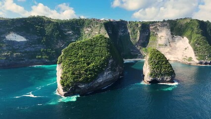 Wall Mural - Aerial view of Kelingking Beach on Nusa Penida Island, Indonesia