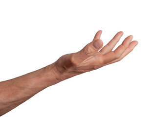 open palm hand holding or giving something, isolated on white background. gesture indicating offerin