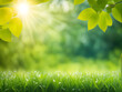 © Aodsy - Beautiful  green grass blur bokeh nature background, Natural green leaves using as cover page greenery environment ecology background