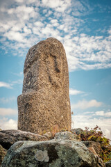 Wall Mural - A prehistoric standing stone or Menhir at Filitosa in Corsica