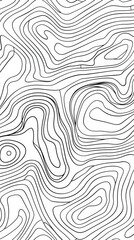 Wall Mural - Background of the topographic map. Topographic map lines, contour background. Geographic grid, vector abstract