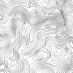 Wall Mural - Background of the topographic map. Topographic map lines, contour background. Geographic grid, vector abstract