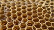 © Saud - A macro view of honeycomb cells, highlighting their hexagonal perfection