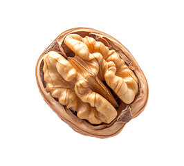 Walnut halved revealing intricate brain-like patterns within its sturdy shell.