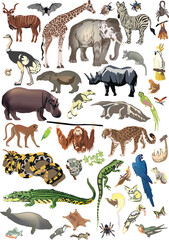 Wall Mural - set of color animals, birds and insects on white