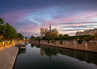 Wall Mural - notre dame on the seine