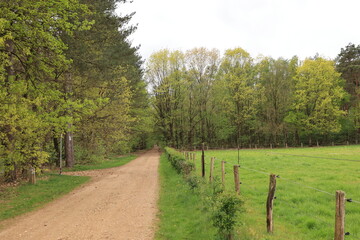 Sticker - Blick auf die Naturlandschaft bei Zutendaal in der Belgischen Region Flandern