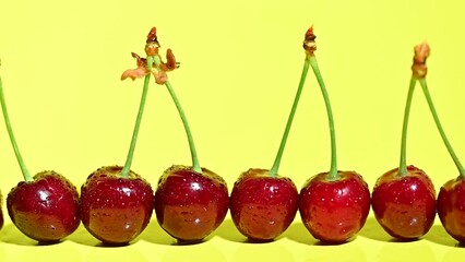 Wall Mural - cherries with drops of water