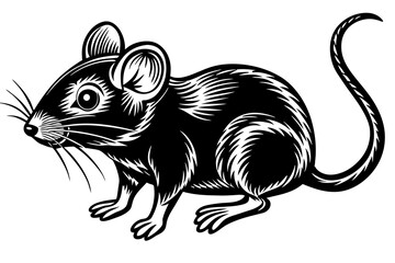 Wall Mural - mouse vector illustration