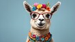 © Sabir - This charming image features a well-groomed llama wearing stylish, round spectacles and a vibrant, multicolored necklace. The spectacles lend the llama an endearing, scholarly look, while the playful