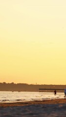 Wall Mural - People walking along the sea shore at sunset. Evening background of the seaside and many people enjoying the time near water in summer. Vertical video