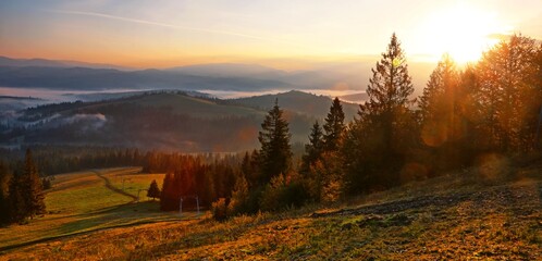 Wall Mural - perfect morning in the forest, awesome autumn view in Carpathian mountains, Europe	