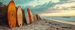 © Станіслав Козаков - Surfboards lined up on a sandy beach