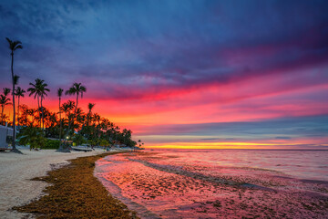 Canvas Print - Vibrant sunset over tropical beach and palm trees in Dominican republic